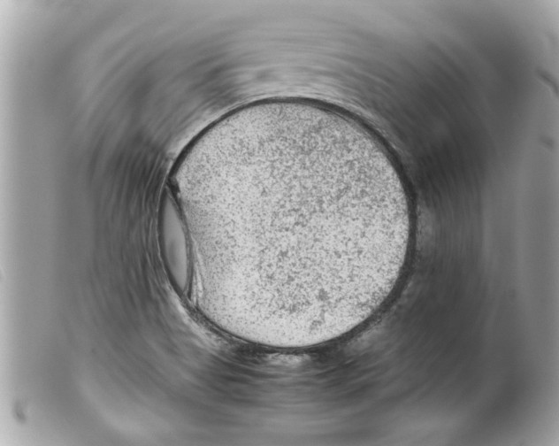 X0000099291513200805301100