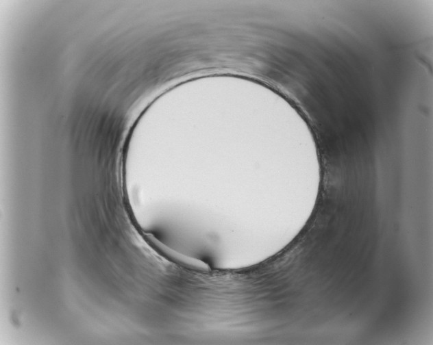 X0000099291516200805301101