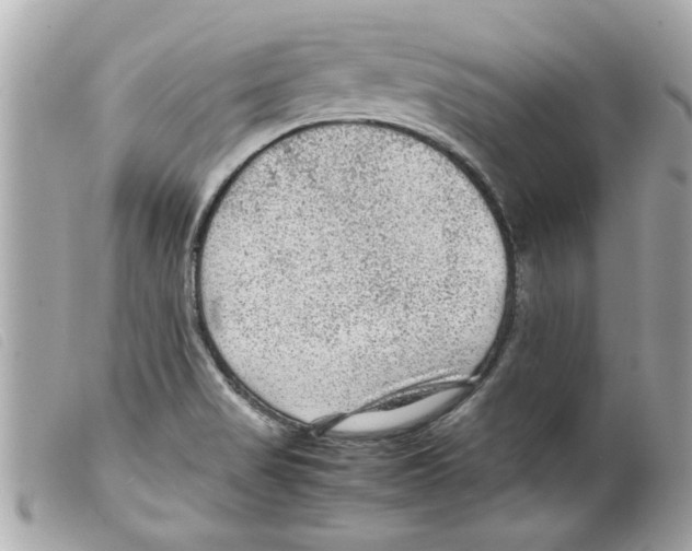 X0000099291517200805301101