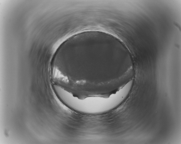 X0000099291519200805301101