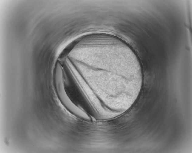 X0000099291520200805301101