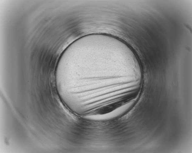 X0000099291521200805301101