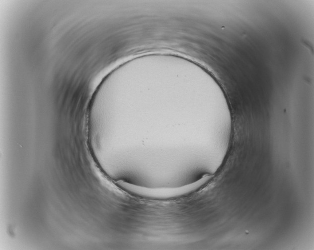 X0000099291526200805301101