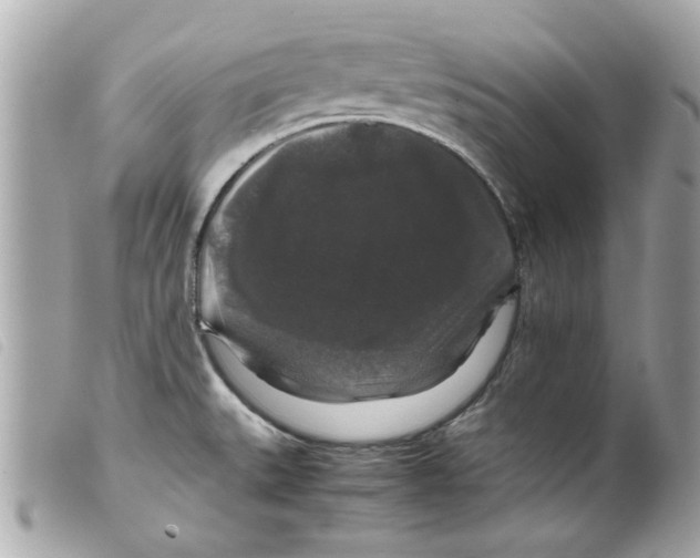 X0000099291527200805301101