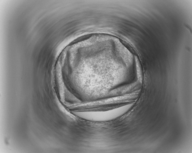 X0000099291528200805301101