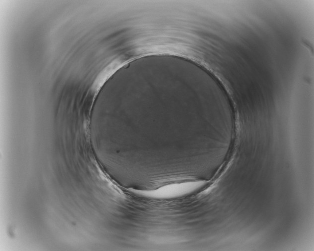 X0000099291529200805301101