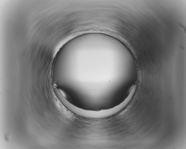 X0000099291530200805301101