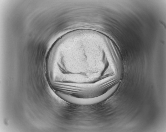 X0000099291531200805301101