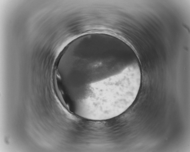 X0000099291533200805301101