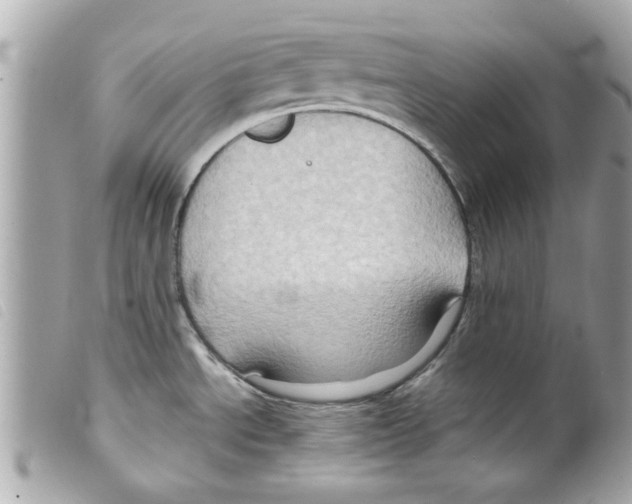 X0000099291534200805301101