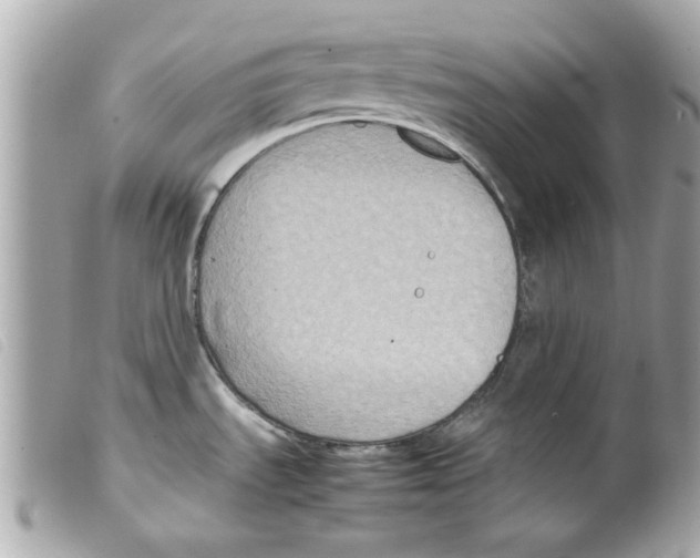 X0000099291535200805301101