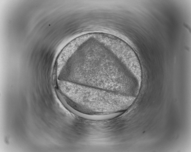 X0000099291536200805301101