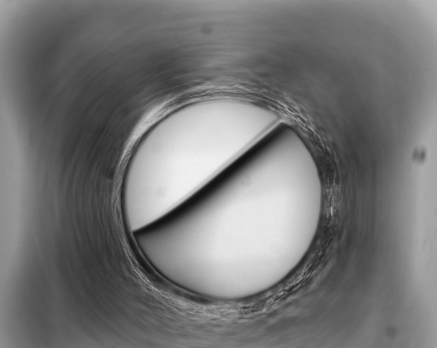X0000099300004200805020808