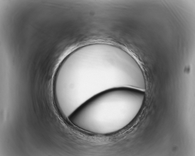 X0000099300008200805020807