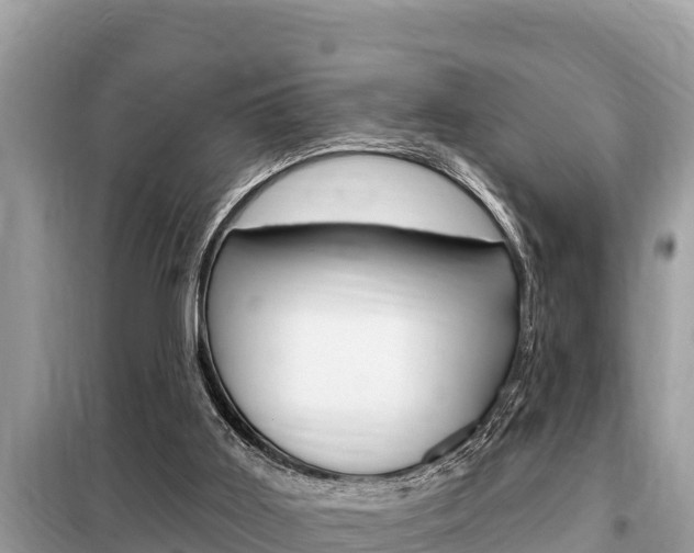 X0000099300011200805020807