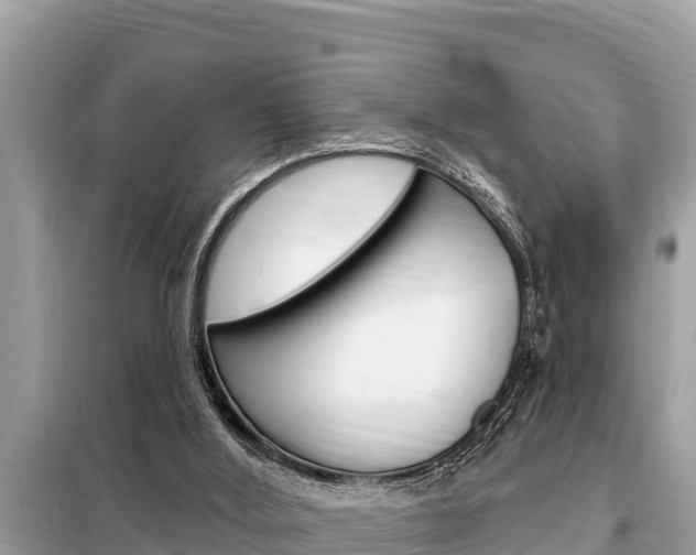 X0000099300012200805020807