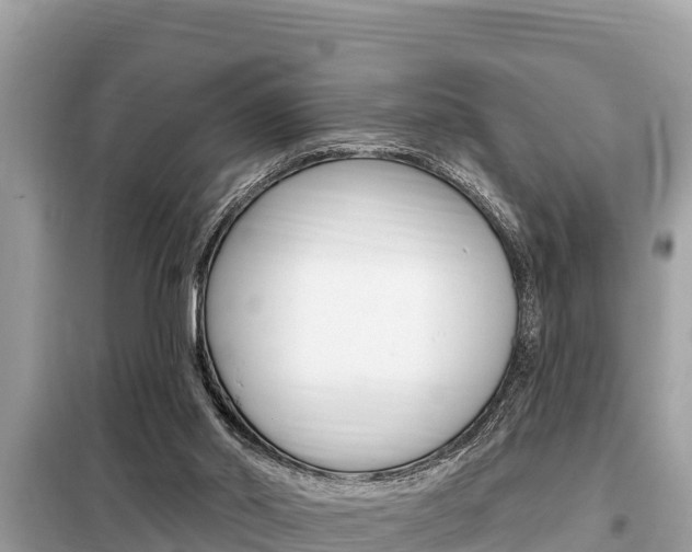X0000099300014200805020807