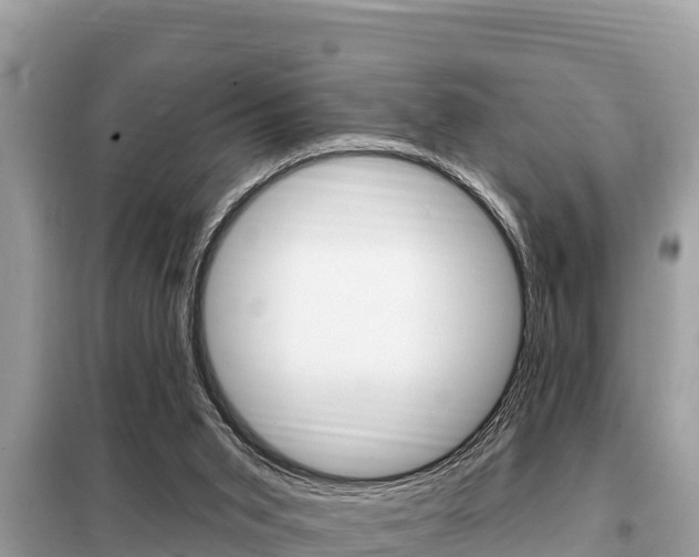 X0000099300015200805020807
