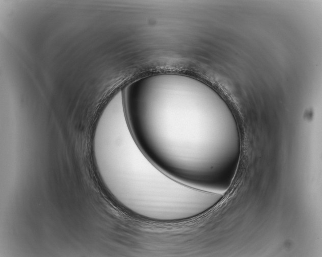 X0000099300017200805020807