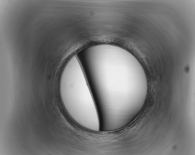 X0000099300020200805020807