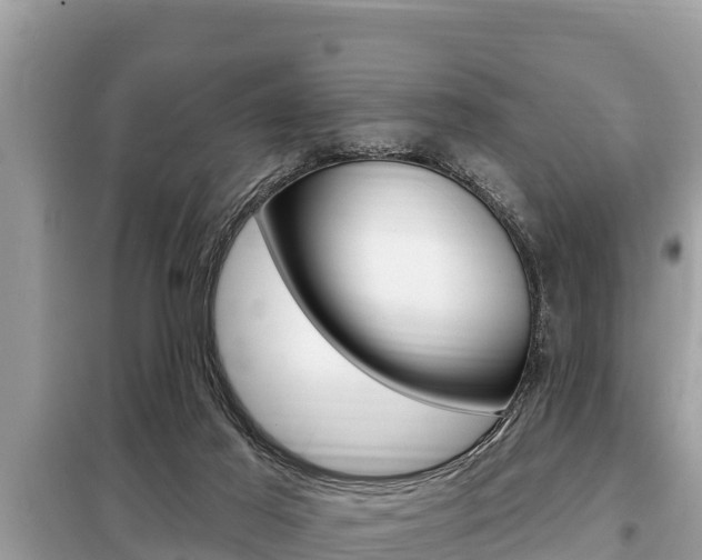 X0000099300021200805020807