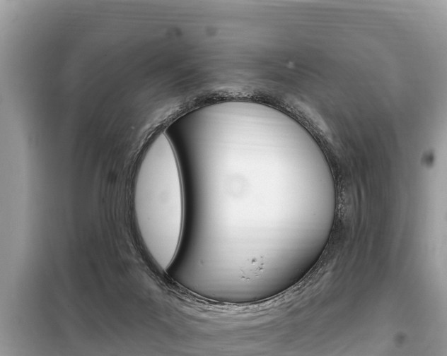 X0000099300023200805020807