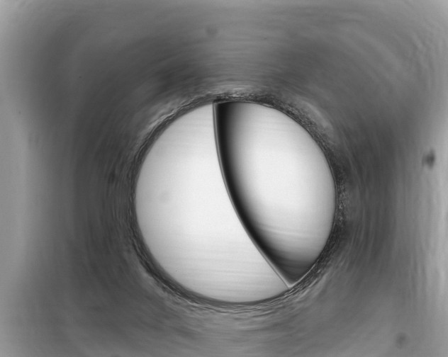 X0000099300024200805020807