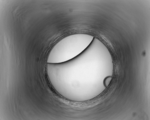 X0000099300026200805020807