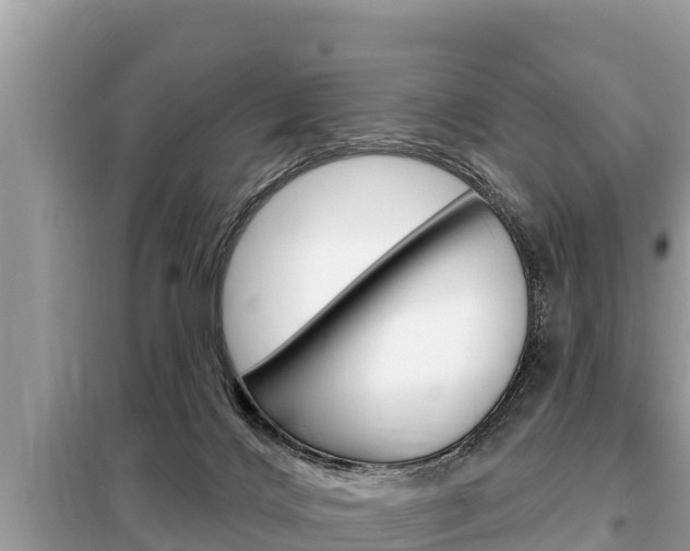 X0000099300028200805020807