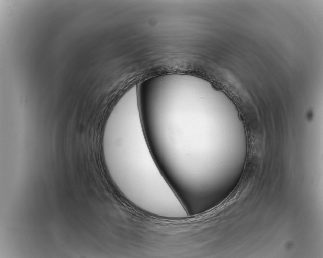 X0000099300029200805020807