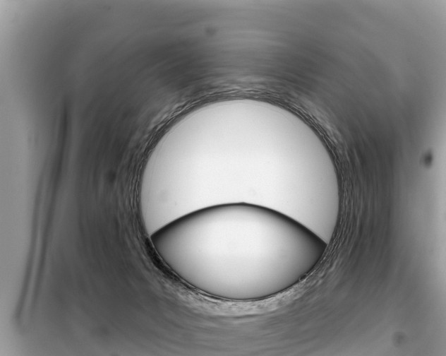 X0000099300031200805020807