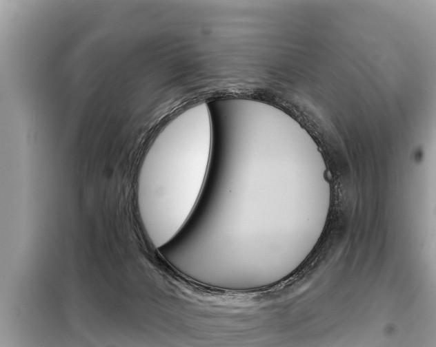 X0000099300032200805020807