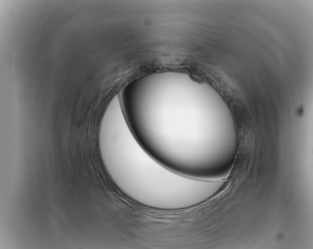 X0000099300033200805020807