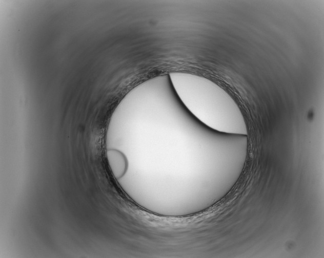 X0000099300034200805020807