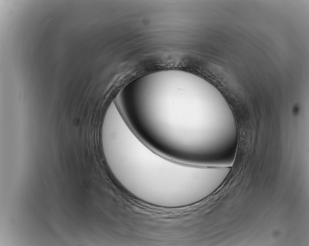 X0000099300035200805020807