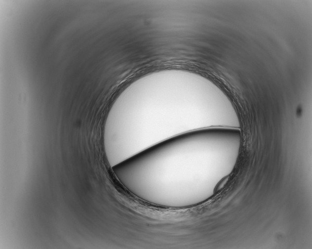 X0000099300036200805020807