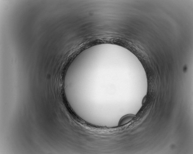 X0000099300040200805020807