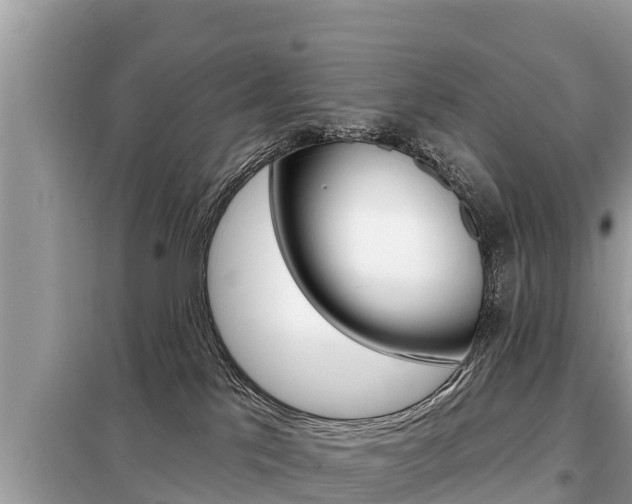 X0000099300041200805020807