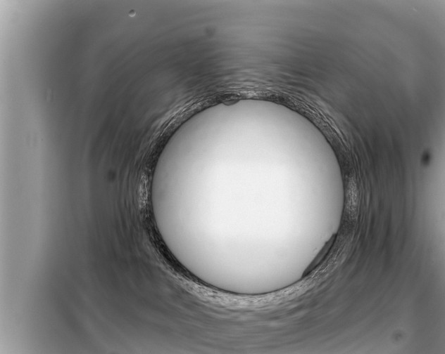 X0000099300043200805020807
