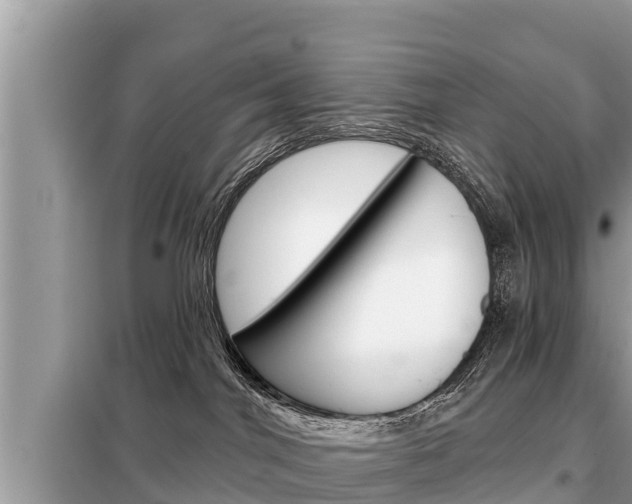 X0000099300044200805020807