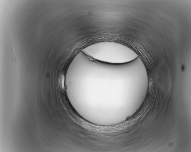 X0000099300046200805020807