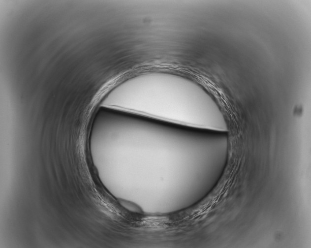 X0000099300051200805020806
