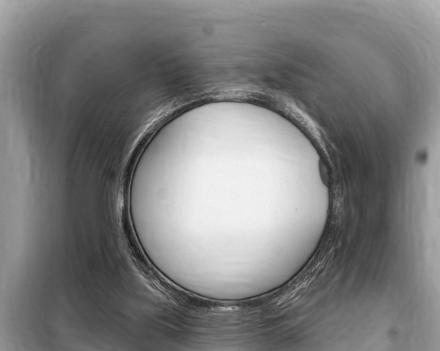 X0000099300059200805020806