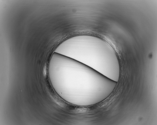 X0000099300069200805020807