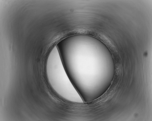 X0000099300072200805020807