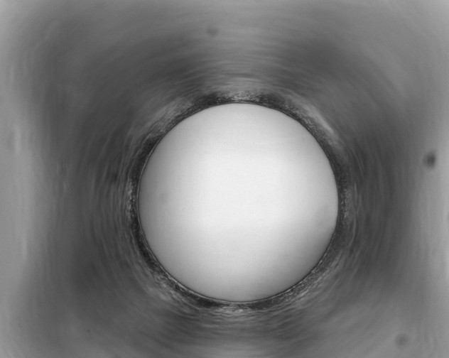 X0000099300073200805020807