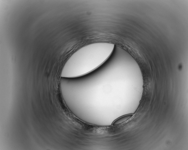 X0000099300078200805020807