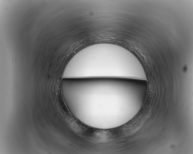 X0000099300079200805020807