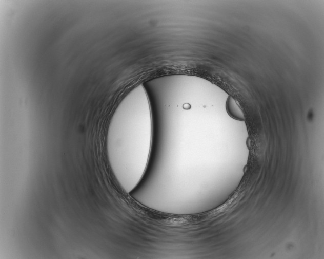 X0000099300086200805020807