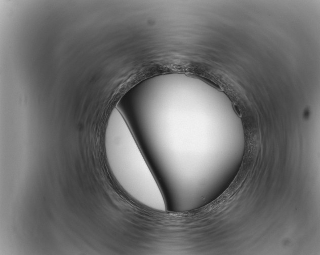 X0000099300088200805020807